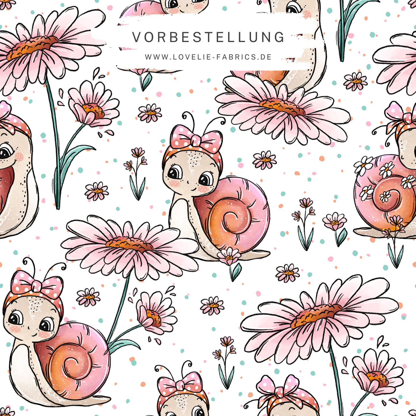 Vorbestellung: Schnegge