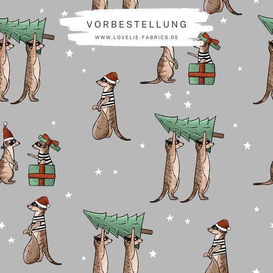 Vorbestellung: Karls Xmas