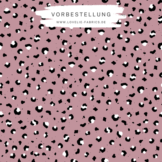 Vorbestellung: Kürbis Wiese Leo Kombi